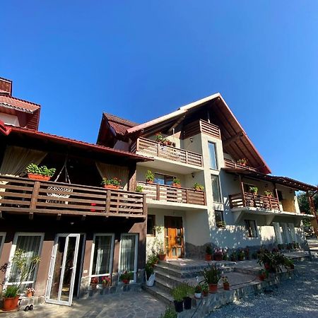 Vila Sorina Borsa  Ngoại thất bức ảnh